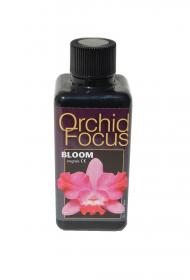 Ionic Orchid Focus Bloom - 300 mL